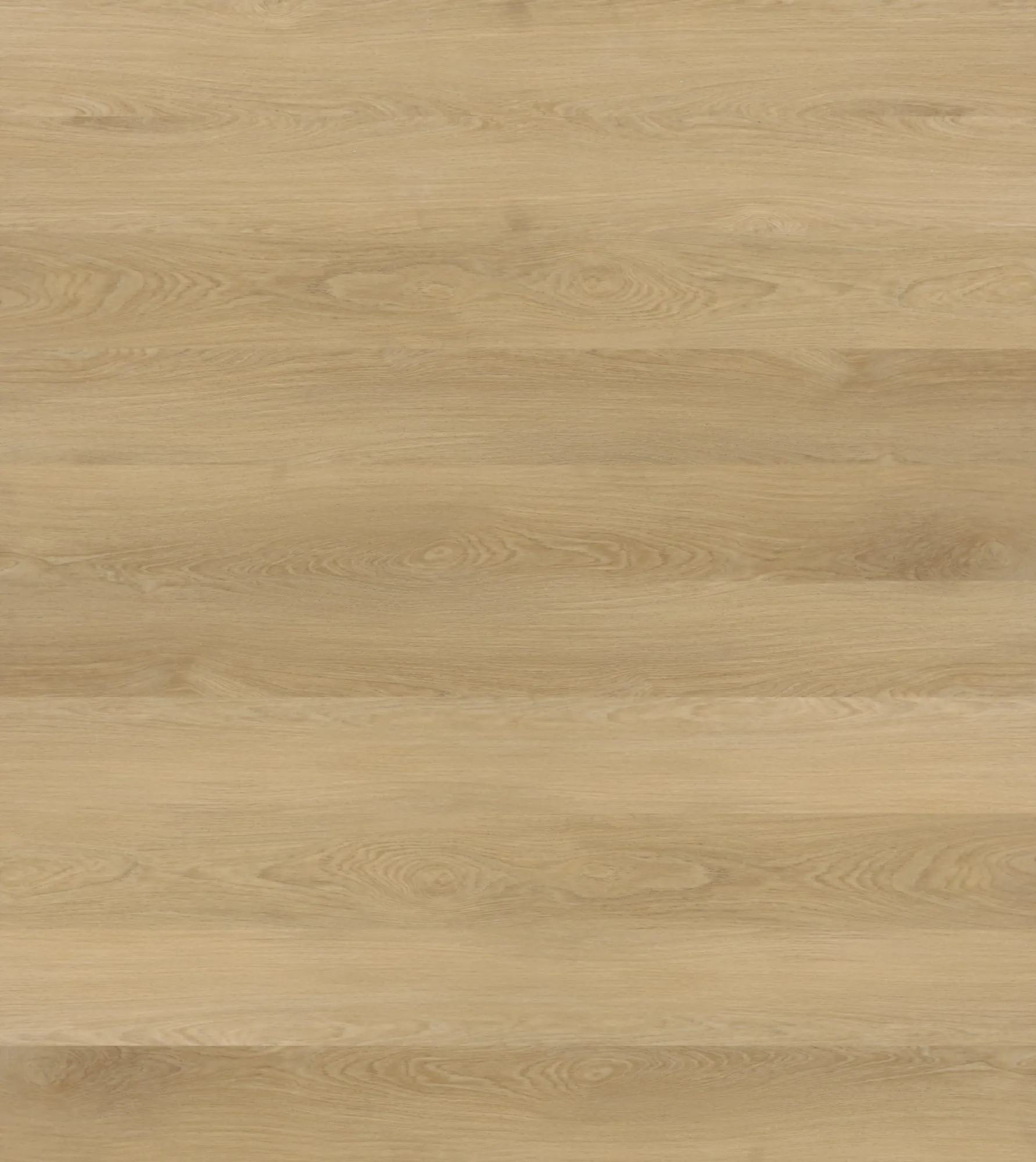Coastal Beige
