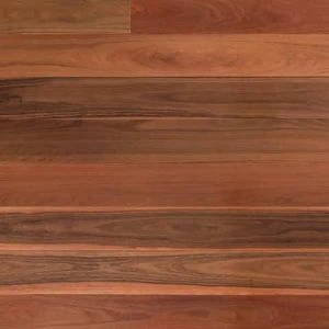 Grey Ironbark