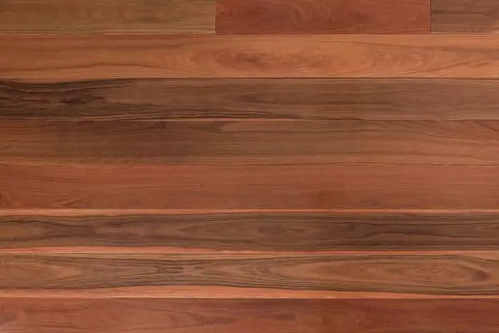 Grey Ironbark