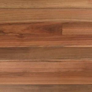 Spotted Gum