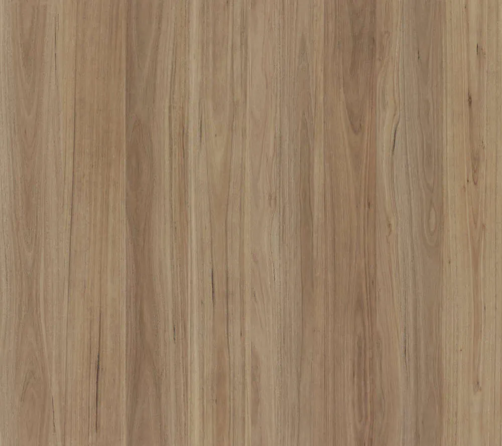 Blackbutt - Hunter Valley Flooring